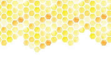 seamless background, honeycomb border. yellow honeycomb watercolor hand drawing. isolated on white background. pattern for design, banner, place for an inscription. cute drawing farming, bee vector