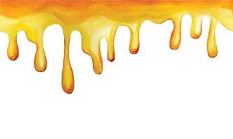 seamless border drips of yellow honey. watercolor drawing, frame, border with yellow honey dripping drops. print, web banner for farming, beekeeping, sweet food vector