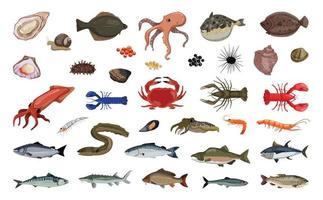 Freshwater and Sea Fish and Delicacies vector