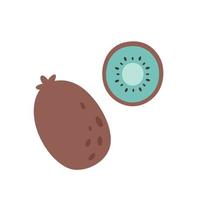 Fresh kiwi. Exotic and tropical fruit. Healthy food. vector