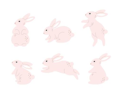 Cute white bunnies collection. Rabbits characters in different poses and actions