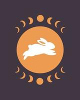 Cute white rabbit with astrology elements. Year of the Rabbit vector