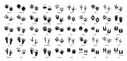 Animal Footprints Vector Art, Icons, and Graphics for Free Download
