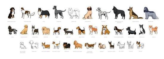 perros de razas vector