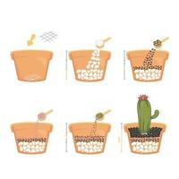 enseñe los pasos de cactus plantados en macetas con grava colorida en vista lateral cortada por la mitad para revelar la composición del suelo