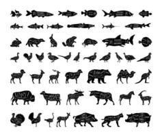 Set of Animals with Cutting Lines vector