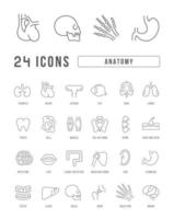 Set of linear icons of Anatomy vector