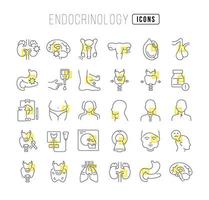 conjunto de iconos lineales de endocrinología vector