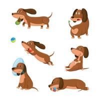 conjunto de ilustraciones con carácter dachshund vector