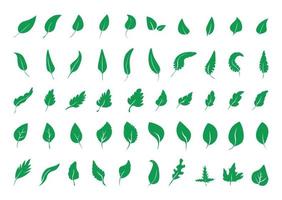 Collection of Green Leaves vector