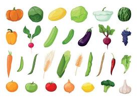 Collection of Fruits and Vegetables vector