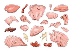 Set of Chicken Parts in Realistic Style vector