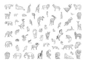 Collection of Animals in Linear Style vector