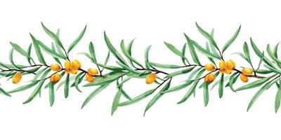 watercolor drawing seamless border with sea buckthorn. web banner, frame, border with berries and sea buckthorn leaves on a white background vector