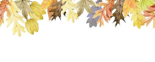 watercolor drawing seamless border, web banner with dry autumn oak, maple leaves. yellow and red leaves, cute print on the theme of autumn, thanksgiving day vector