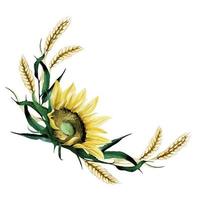 watercolor drawing. autumn composition of flowers of a sunflower and autumn leaves, ears of wheat. isolated on white background bouquet, on the theme of harvest, autumn, thanksgiving day. vector