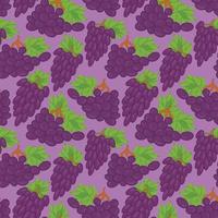 Vector seamless background with grapes illustration. Seamless pattern texture design.