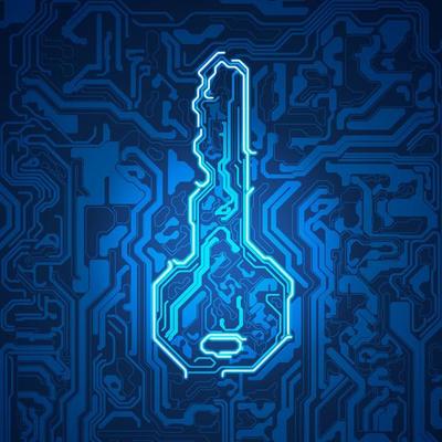 electronic key element