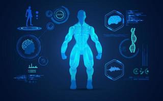 diagrama de hombre musculoso vector