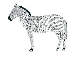 electronic zebra element vector