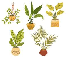 conjunto de plantas de interior en maceta. planta de interior de follaje que crece en maceta. decoración de hojas verdes para el interior del hogar. decoración interior natural. dibujar a mano ilustración vectorial aislado sobre fondo blanco vector