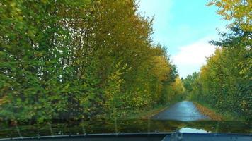 Time lapse windshield view of a fast  car driving through a colorful autumn forest video