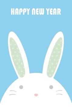 The Year Of The Rabbit Greeting Card Template With A Cartoonish Rabbit Mascot And Text Space. vector