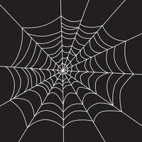 Scary white web on a black background. vector