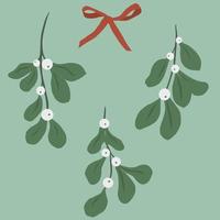 set of mistletoe branches vector