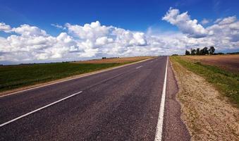 el camino y el bosque foto