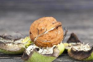 Former walnuts, close up photo