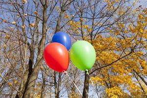Red green and blue balloons photo