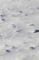 campo cubierto de nieve foto