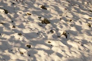 Snow drifts, close up photo