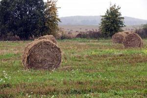 straw stack close up photo