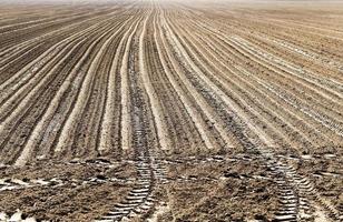 plowed land for cereal photo