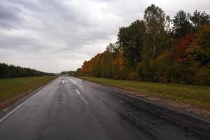 el camino del otoño foto