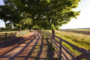 rural road . fence photo