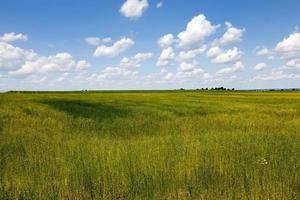 on agricultural field photo