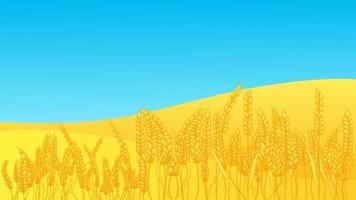 Rural summer landscape with a field of ripe wheat on the hills and valleys in the background. Vector illustration with golden grain fields. Farm autumn harvest. Ukraine flag