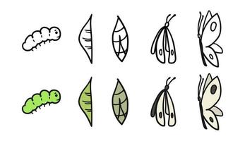 metamorfosis de pieris brassicae. proceso de desarrollo de oruga a mariposa transformación de capullo, ciclo de vida, mariposa de repollo de crecimiento, ilustración de vector de croquis dibujado a mano. metamorfosis de insectos.