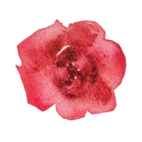 acuarela flor roja png