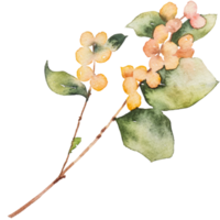 natural branch watercolor png