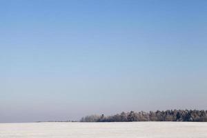 Field after snowfall photo