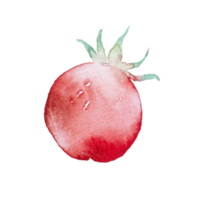 tomato watercolor clip art png