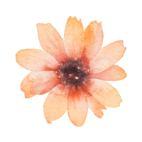 flor natural acuarela pintada a mano png