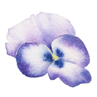 flor natural acuarela pintada a mano png