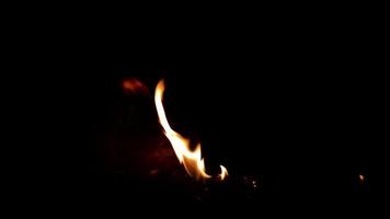 tocha de fogo queimando video