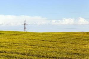 rape and pillar electricity photo