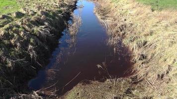 Ein kleiner Bach mit fließendem Wasser auf einer grünen Wiese an einem sonnigen Tag. video